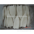 Chemical Treated Todarodes Pacificus Iqf Squid Tube U5